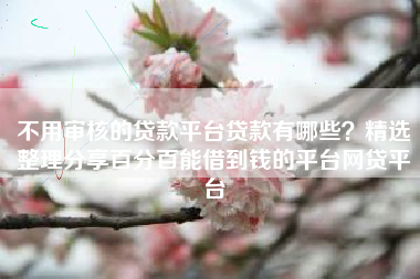 不用审核的贷款平台贷款有哪些？精选整理分享百分百能借到钱的平台网贷平台