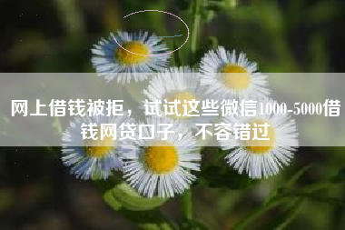 网上借钱被拒，试试这些微信1000-5000借钱网贷口子，不容错过