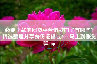 必能下款的网贷平台借款口子有哪些？精选整理分享身份证借钱5000马上到账贷款app