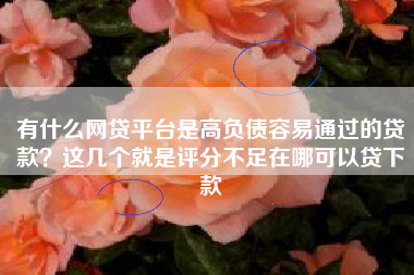 有什么网贷平台是高负债容易通过的贷款？这几个就是评分不足在哪可以贷下款