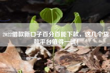 2022借款新口子百分百能下款，这几个贷款平台值得一试！