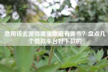 急用钱去哪借哪里靠谱有哪些？盘点几个借款平台好下款的