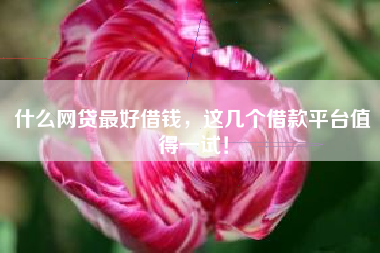什么网贷最好借钱，这几个借款平台值得一试！