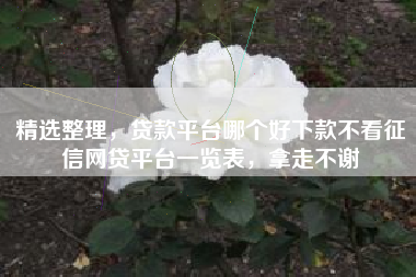 精选整理，贷款平台哪个好下款不看征信网贷平台一览表，拿走不谢