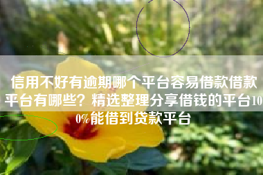信用不好有逾期哪个平台容易借款借款平台有哪些？精选整理分享借钱的平台100%能借到贷款平台