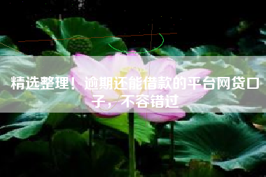 精选整理！逾期还能借款的平台网贷口子，不容错过