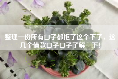 整理一份所有口子都拒了这个下了，这几个借款口子口子了解一下！