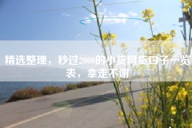 精选整理，秒过2000的小贷网贷口子一览表，拿走不谢