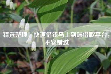 精选整理！快速借钱马上到账借款平台，不容错过