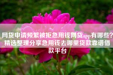 网贷申请频繁被拒急用钱网贷app有哪些？精选整理分享急用钱去哪里贷款靠谱借款平台