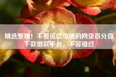 精选整理！不看征信负债的网贷百分百下款借款平台，不容错过