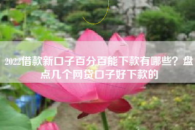 2022借款新口子百分百能下款有哪些？盘点几个网贷口子好下款的