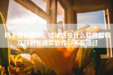 网上借钱被拒，试试这些什么软件借钱立马到账借款软件，不容错过