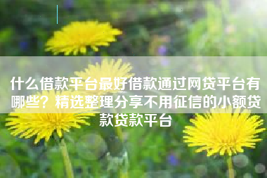 什么借款平台最好借款通过网贷平台有哪些？精选整理分享不用征信的小额贷款贷款平台