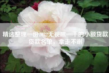 精选整理一份2022无视黑一千的小额贷款贷款名单，拿走不谢