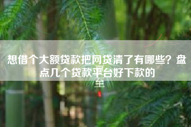 想借个大额贷款把网贷清了有哪些？盘点几个贷款平台好下款的