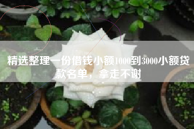 精选整理一份借钱小额1000到3000小额贷款名单，拿走不谢