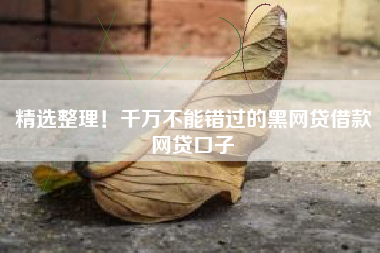 精选整理！千万不能错过的黑网贷借款网贷口子