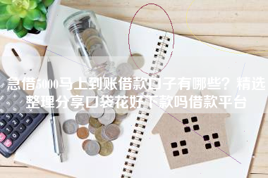急借5000马上到账借款口子有哪些？精选整理分享口袋花好下款吗借款平台