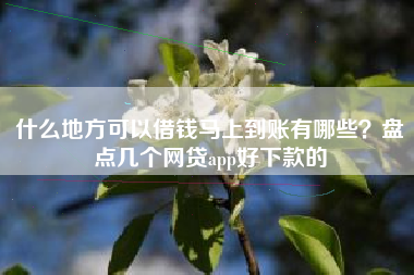 什么地方可以借钱马上到账有哪些？盘点几个网贷app好下款的