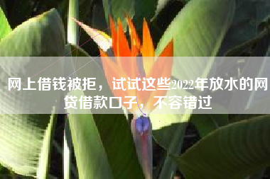 网上借钱被拒，试试这些2022年放水的网贷借款口子，不容错过
