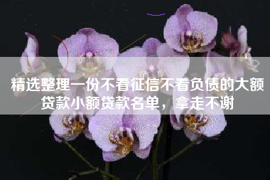 精选整理一份不看征信不看负债的大额贷款小额贷款名单，拿走不谢