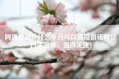 网贷盘点，什么平台可以直接借钱网贷口子名单，值得关注！
