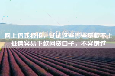 网上借钱被拒，试试这些哪些贷款不上征信容易下款网贷口子，不容错过