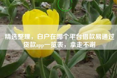 精选整理，白户在哪个平台借款易通过贷款app一览表，拿走不谢