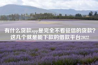 有什么贷款app是完全不看征信的贷款？这几个就是能下款的借款平台2022
