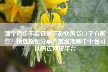 哪个网贷不看征信下款快网贷口子有哪些？精选整理分享严重逾期哪个平台可以借钱网贷平台