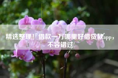 精选整理！借款一万哪里好借贷款app，不容错过