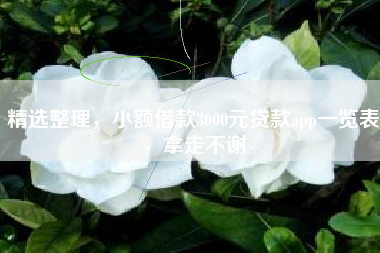精选整理，小额借款3000元贷款app一览表，拿走不谢