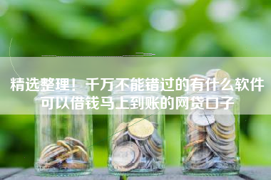 精选整理！千万不能错过的有什么软件可以借钱马上到账的网贷口子