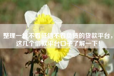 整理一份不看征信不看负债的贷款平台，这几个借款平台口子了解一下！