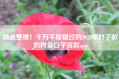 精选整理！千万不能错过的2022年好下款的网贷口子贷款app