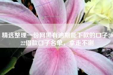 精选整理一份网黑有逾期能下款的口子2022借款口子名单，拿走不谢