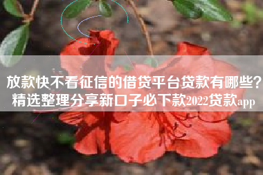 放款快不看征信的借贷平台贷款有哪些？精选整理分享新口子必下款2022贷款app