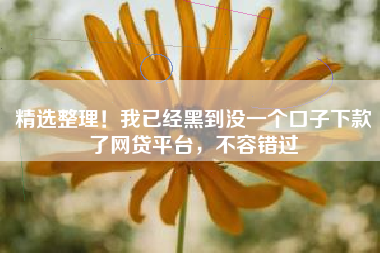 精选整理！我已经黑到没一个口子下款了网贷平台，不容错过