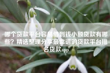 哪个贷款平台容易借到钱小额贷款有哪些？精选整理分享最靠谱的贷款平台排名贷款app