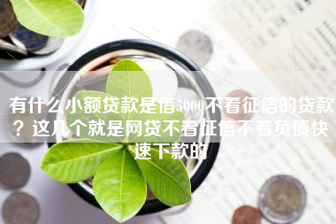 有什么小额贷款是借5000不看征信的贷款？这几个就是网贷不看征信不看负债快速下款的