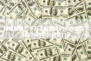 精选整理！千万不能错过的小额借钱不用审核的平台网贷口子