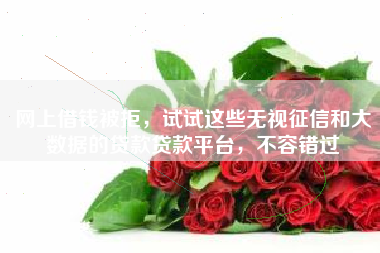 网上借钱被拒，试试这些无视征信和大数据的贷款贷款平台，不容错过