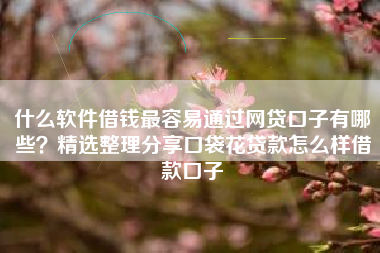 什么软件借钱最容易通过网贷口子有哪些？精选整理分享口袋花贷款怎么样借款口子