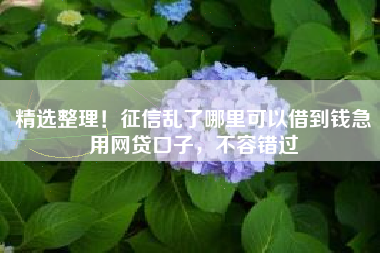 精选整理！征信乱了哪里可以借到钱急用网贷口子，不容错过