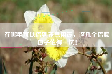 在哪里可以借到钱急用钱，这几个借款口子值得一试！