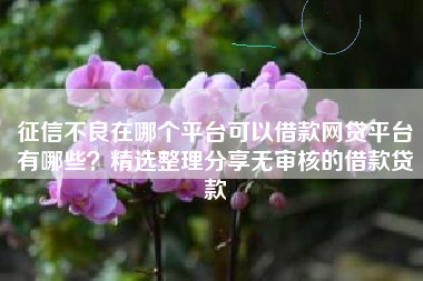 征信不良在哪个平台可以借款网贷平台有哪些？精选整理分享无审核的借款贷款