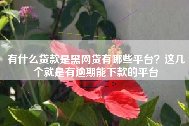 有什么贷款是黑网贷有哪些平台？这几个就是有逾期能下款的平台