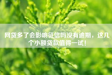 网贷多了会影响征信吗没有逾期，这几个小额贷款值得一试！