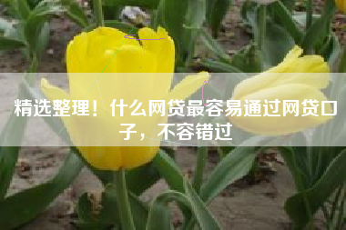 精选整理！什么网贷最容易通过网贷口子，不容错过